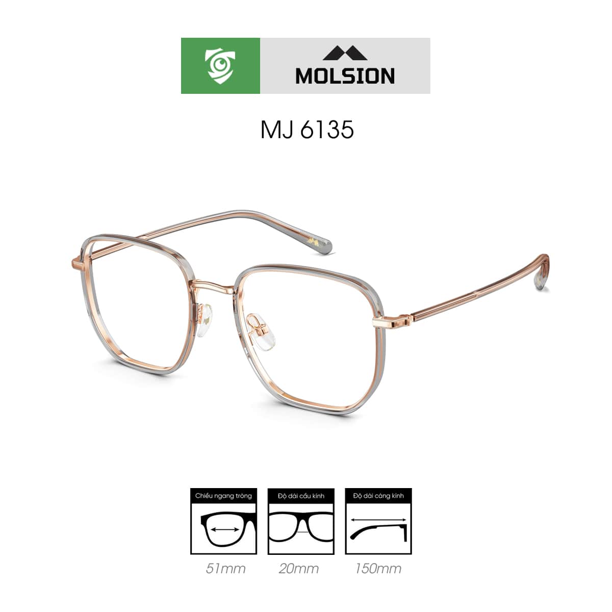 Gọng kính MOLSION MJ6135 - Ảnh 2