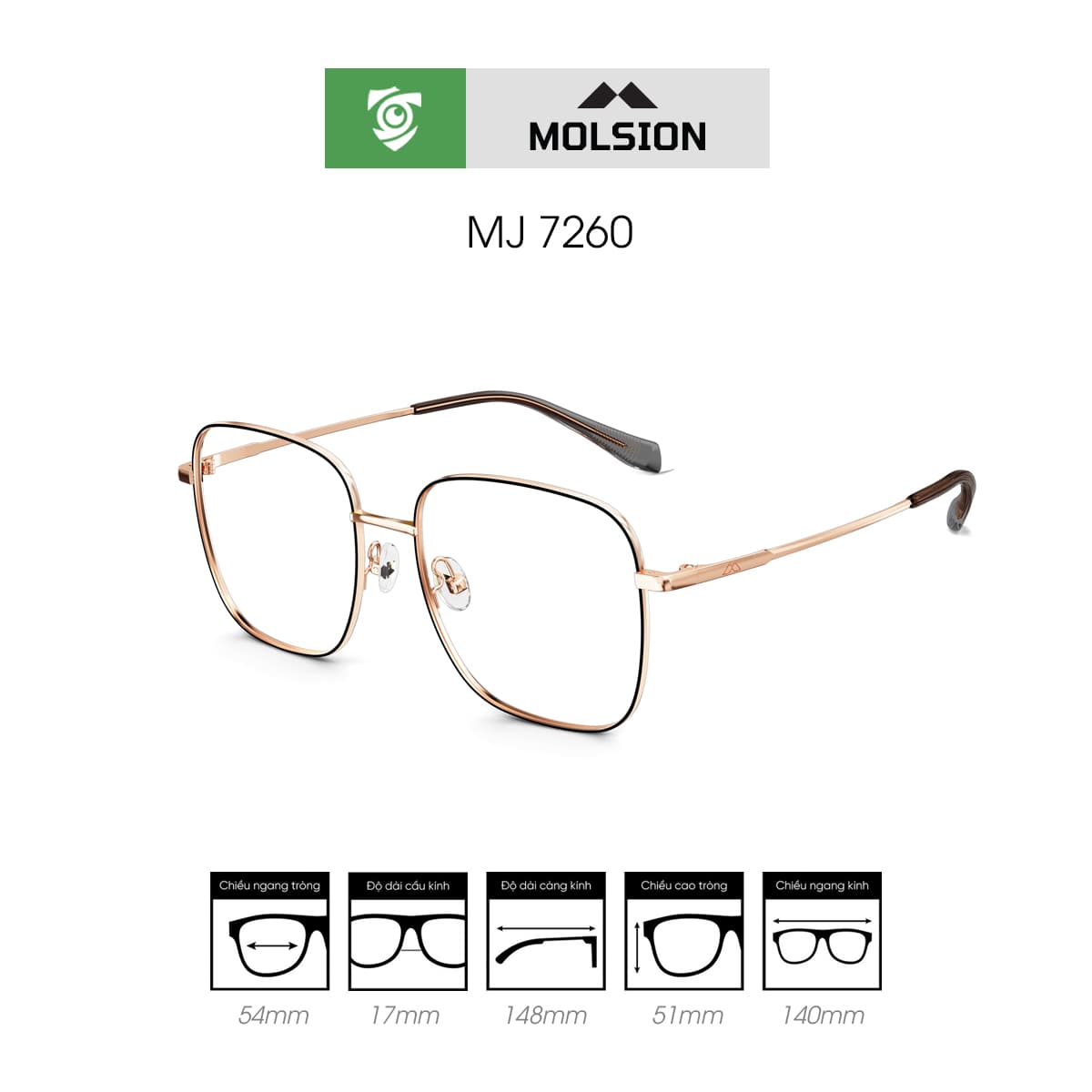 Gọng kính MOLSION MJ7260 - Ảnh 7