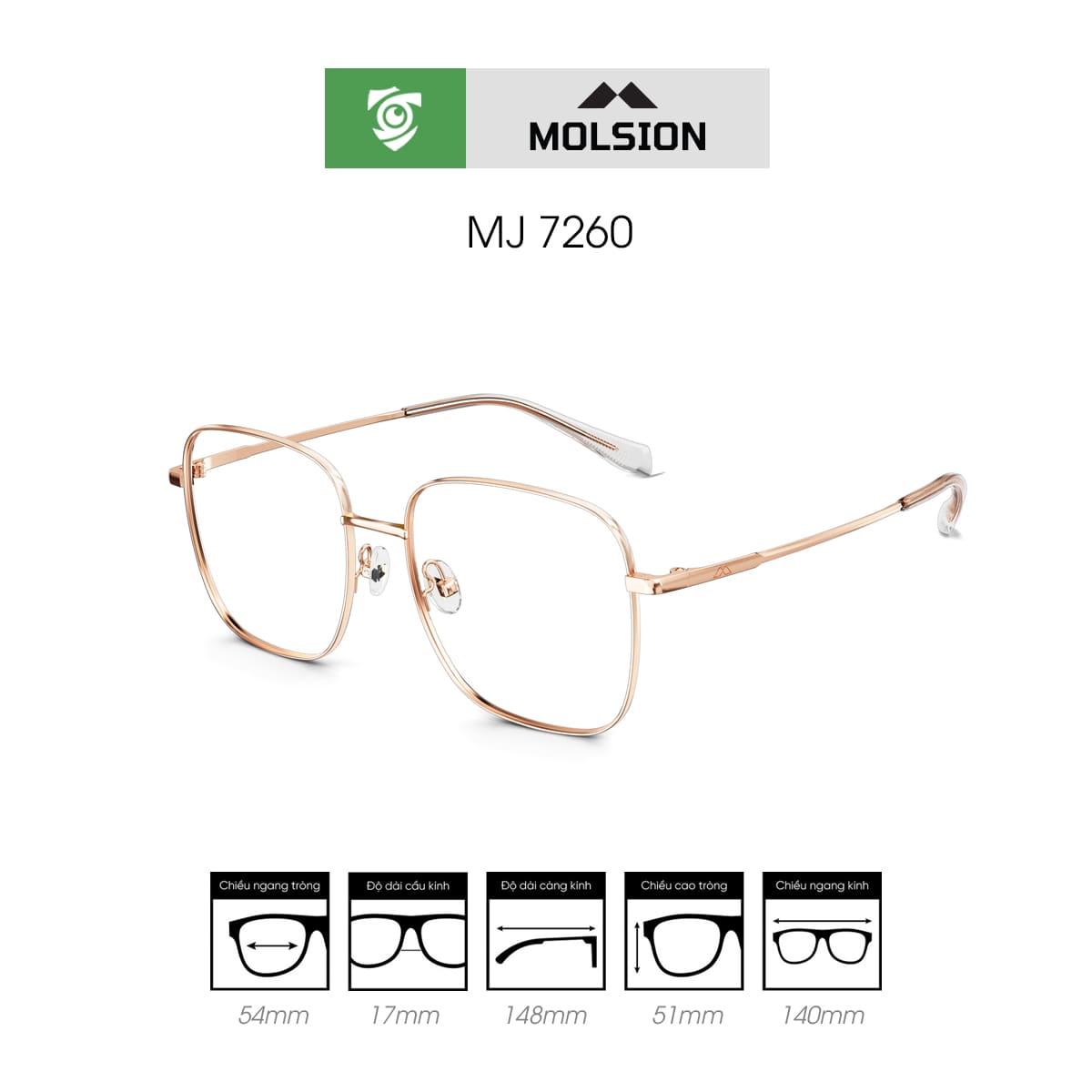 Gọng kính MOLSION MJ7260 - Ảnh 6