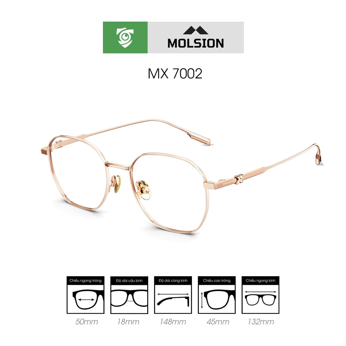 Gọng kính MOLSION MX7002 - Ảnh 6