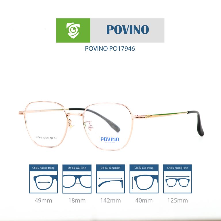 Gọng kính POVINO PO17946 - Ảnh 8