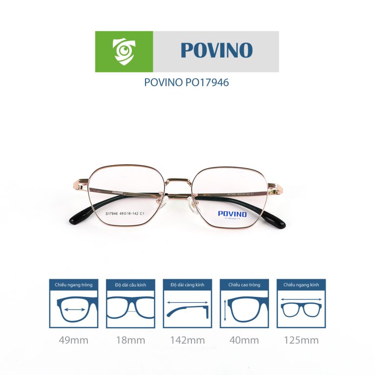 Gọng kính POVINO PO17946 - Ảnh 9