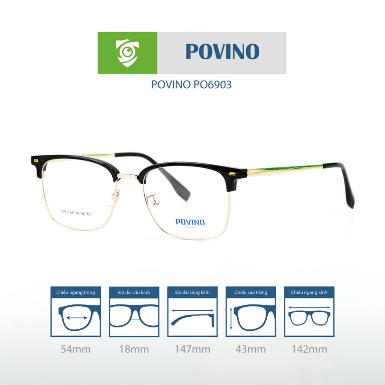 Gọng kính POVINO PO6903 - Ảnh 12