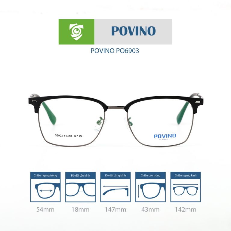 Gọng kính POVINO PO6903 - Ảnh 1