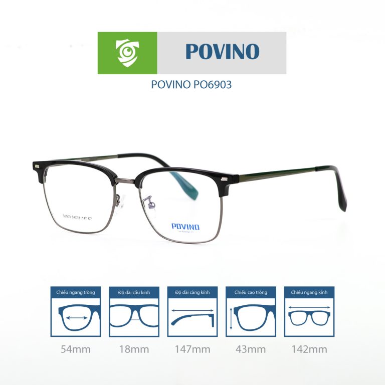 Gọng kính POVINO PO6903 - Ảnh 10