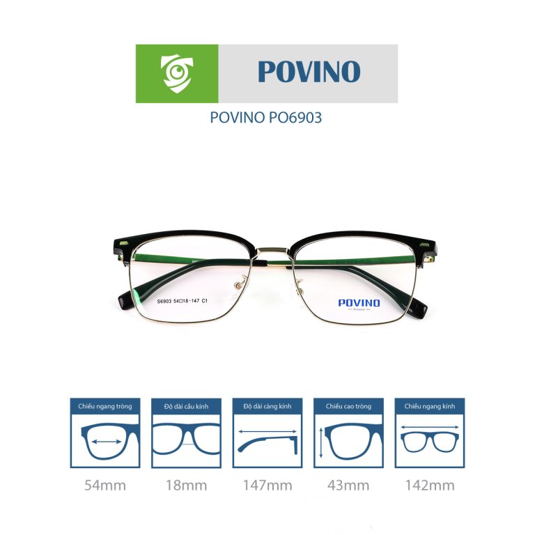 Gọng kính POVINO PO6903 - Ảnh 9