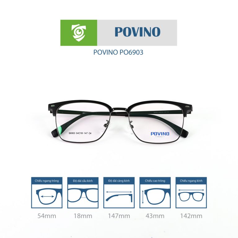 Gọng kính POVINO PO6903 - Ảnh 8