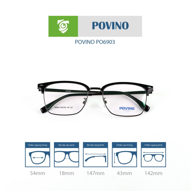 Gọng kính POVINO PO6903 - Ảnh 7