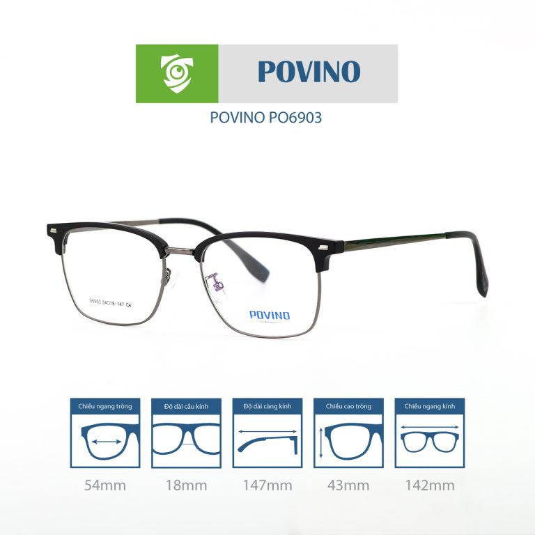 Gọng kính POVINO PO6903 - Ảnh 6