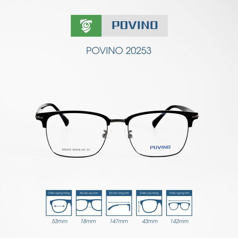 Gọng kính POVINO PO20253 - Ảnh 1