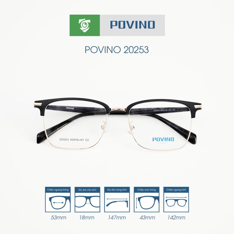 Gọng kính POVINO PO20253 - Ảnh 10