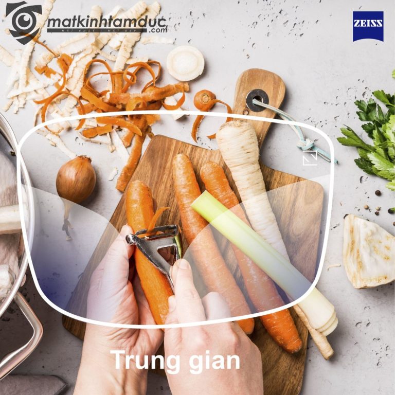 Tròng kính đa tròng ZEISS LIGHT 3D - Ảnh 11