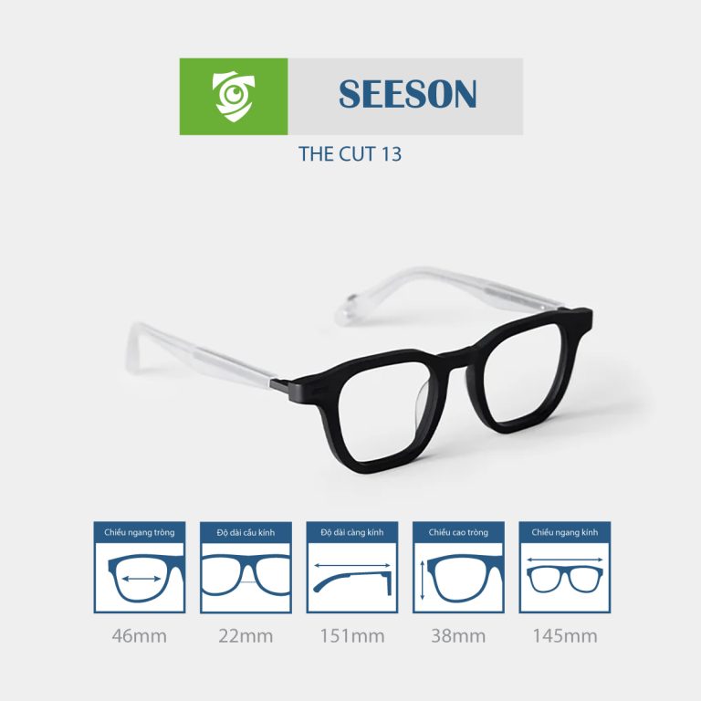 Gọng kính SEESON THE CUT 13 - Ảnh 14