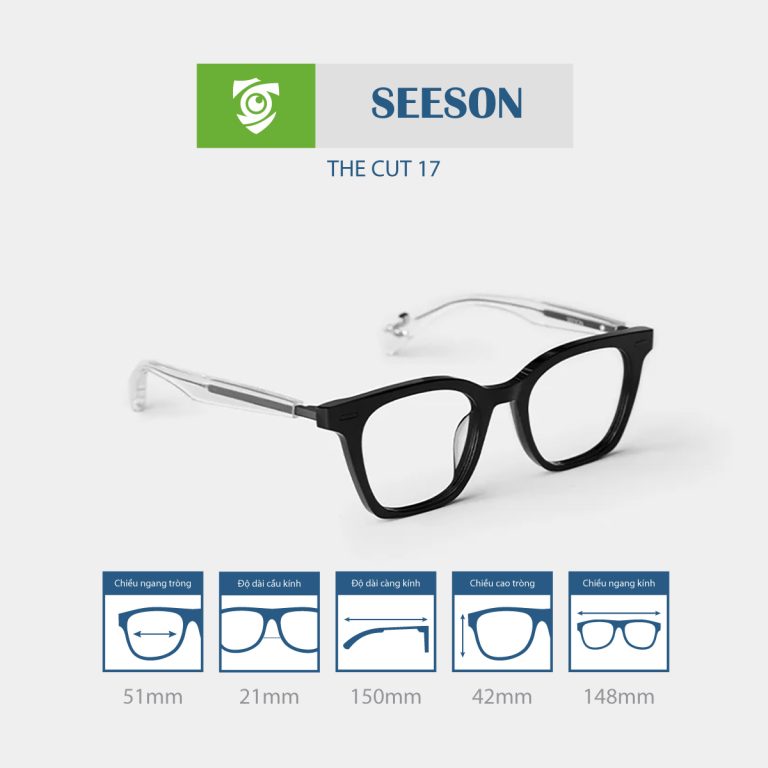 Gọng kính SEESON THE CUT 17 - Ảnh 14
