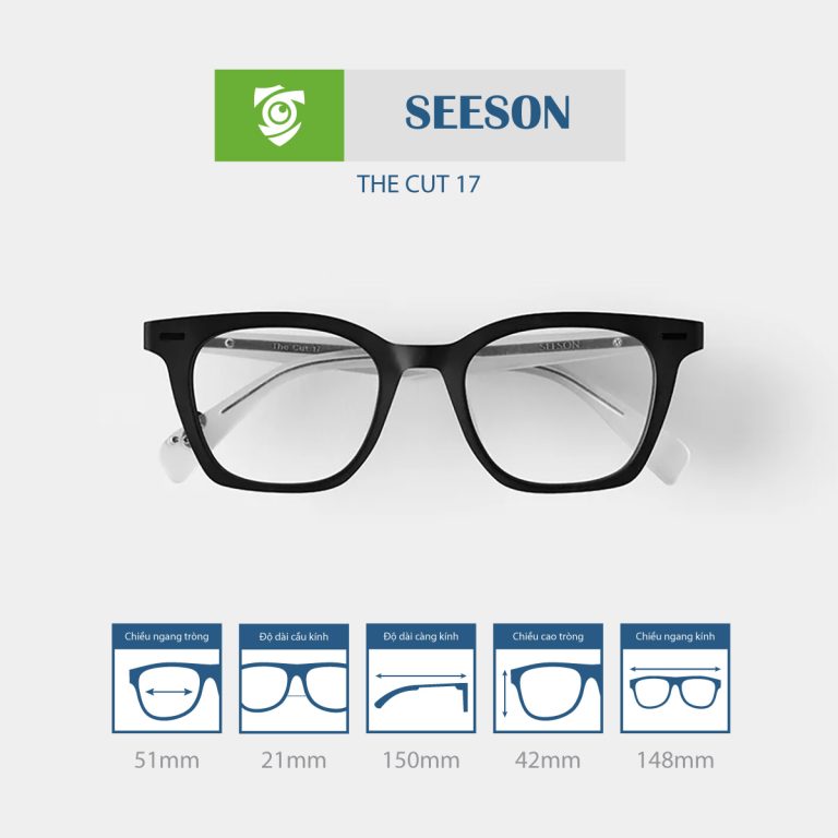 Gọng kính SEESON THE CUT 17 - Ảnh 13