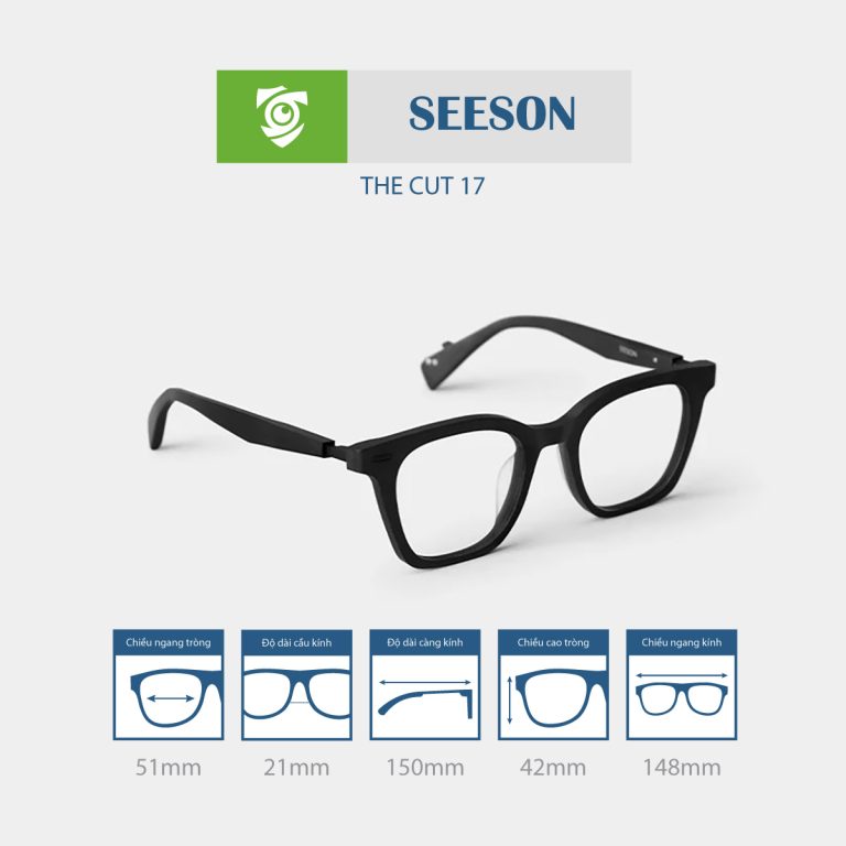 Gọng kính SEESON THE CUT 17 - Ảnh 10