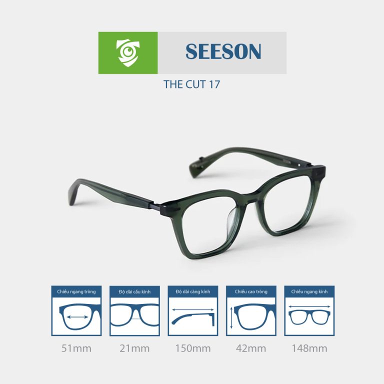 Gọng kính SEESON THE CUT 17 - Ảnh 2