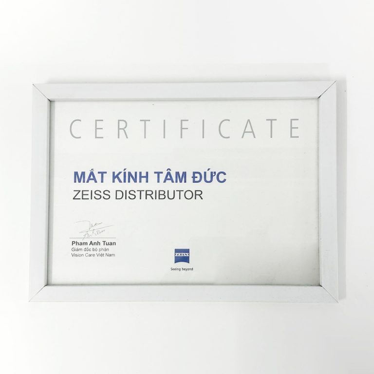 Tròng kính đa tròng ZEISS EnergizeMeTM - Ảnh 2