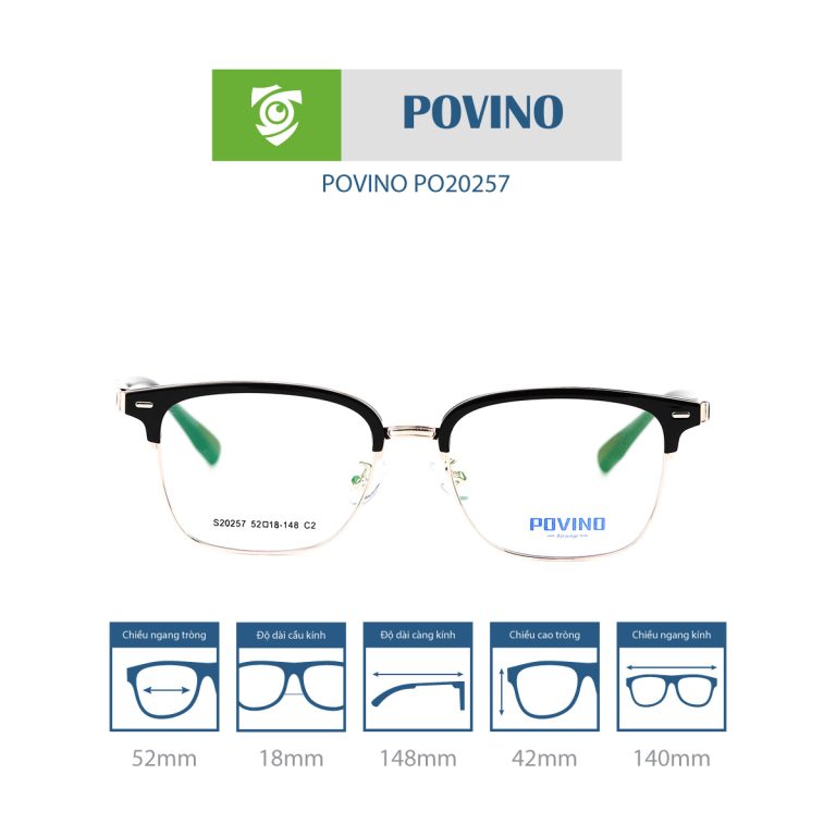 Gọng kính POVINO PO20257 - Ảnh 1