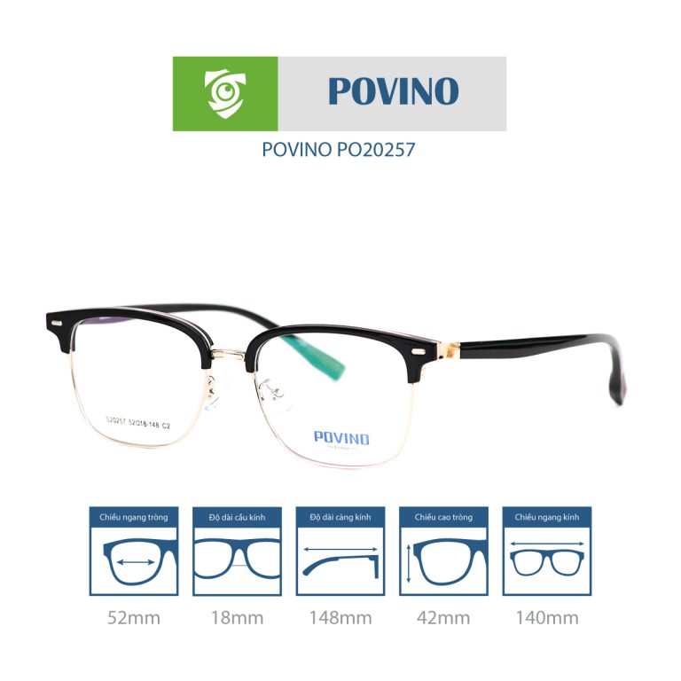 Gọng kính POVINO PO20257 - Ảnh 2