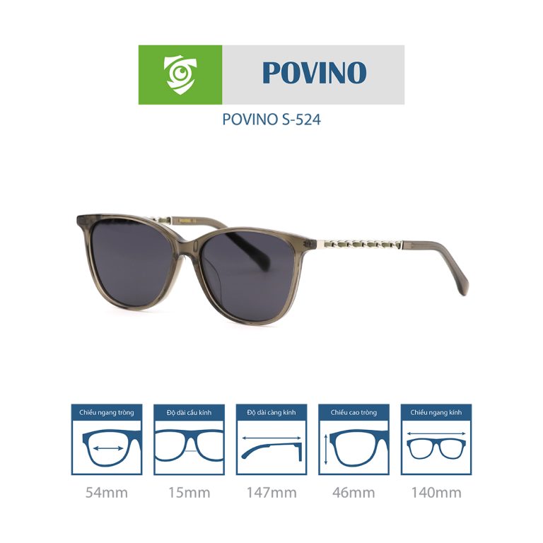 Kính mát POVINO S524 - Ảnh 6