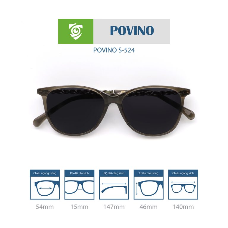 Kính mát POVINO S524 - Ảnh 7