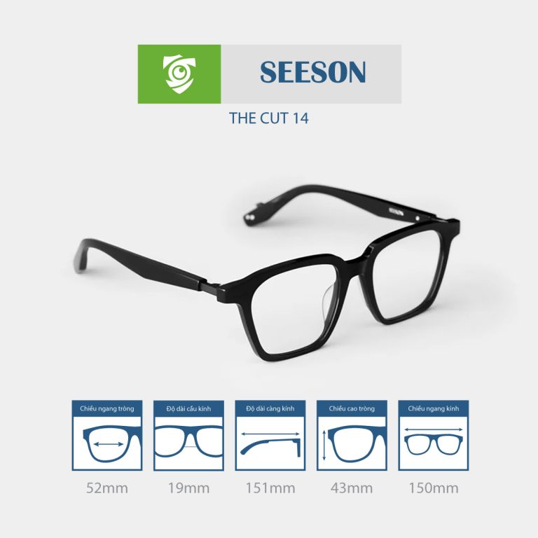 Gọng kính SEESON THE CUT 14 - Ảnh 10