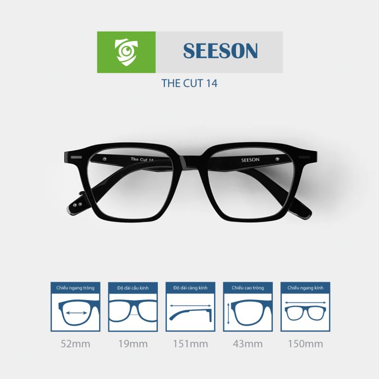 Gọng kính SEESON THE CUT 14 - Ảnh 9