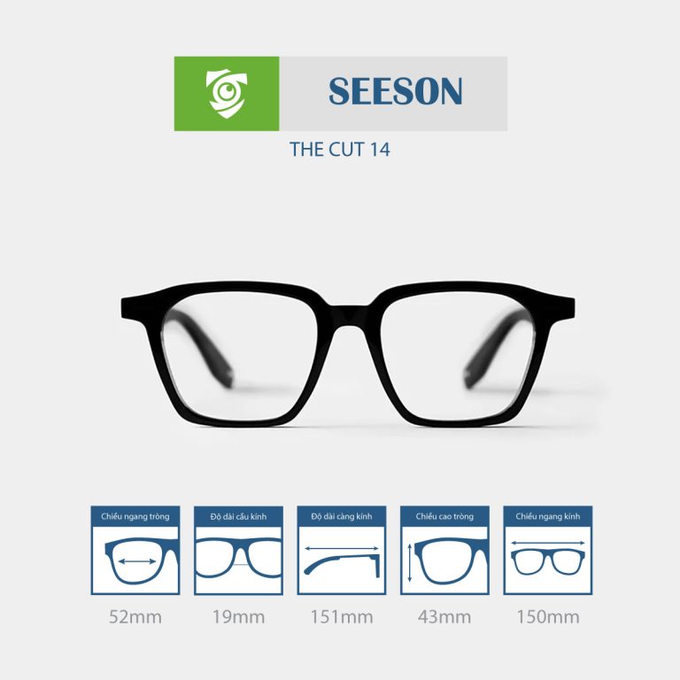 Gọng kính SEESON THE CUT 14 - Ảnh 1