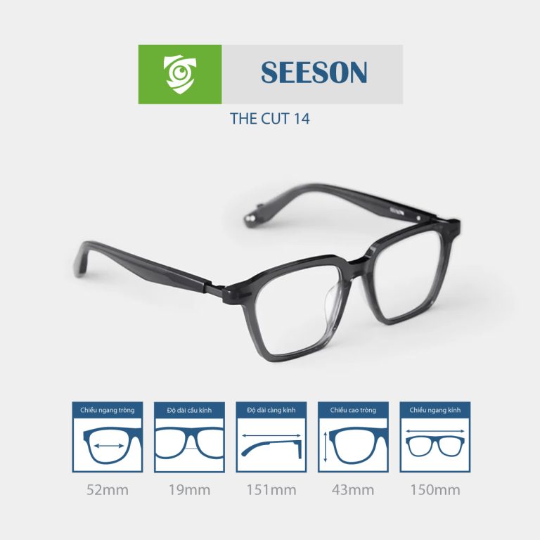Gọng kính SEESON THE CUT 14 - Ảnh 7