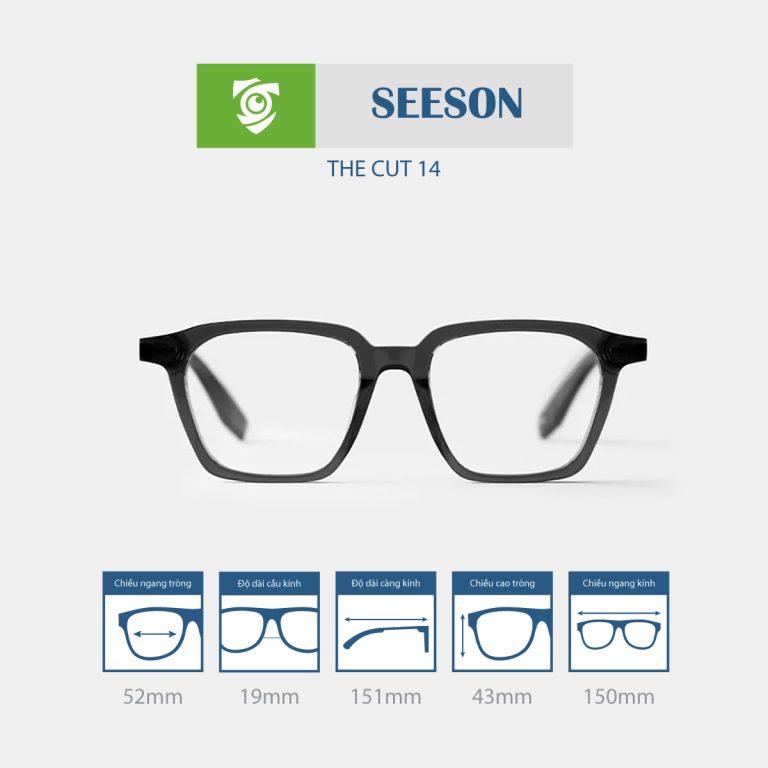 Gọng kính SEESON THE CUT 14 - Ảnh 5