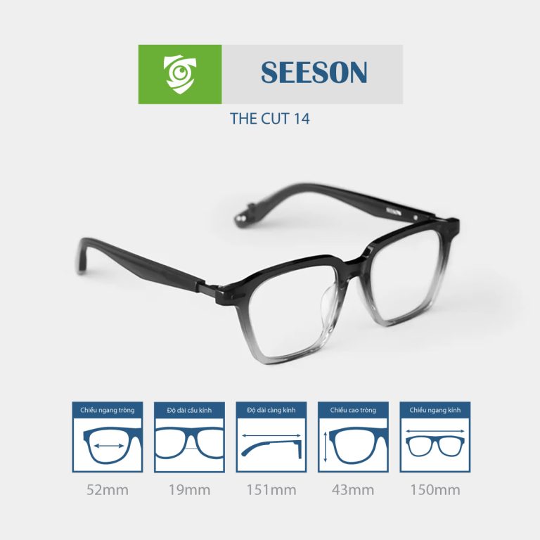 Gọng kính SEESON THE CUT 14 - Ảnh 4