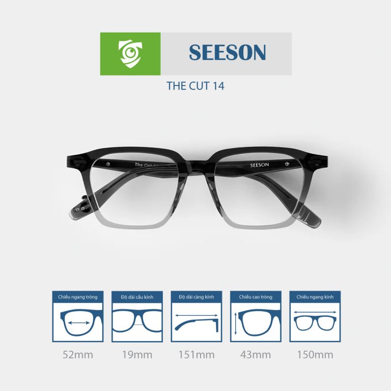 Gọng kính SEESON THE CUT 14 - Ảnh 3