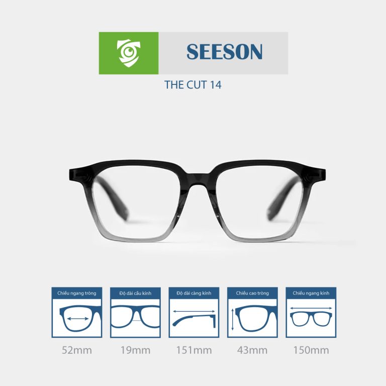 Gọng kính SEESON THE CUT 14 - Ảnh 2