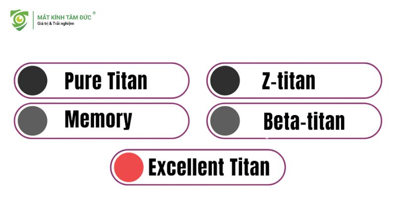 Cái gọng kính Titan
