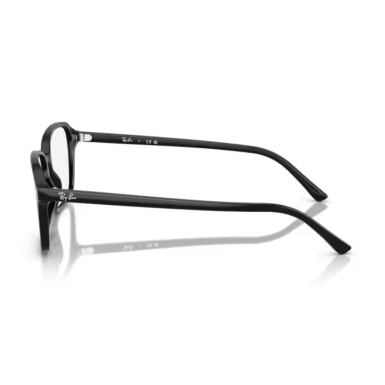 Gọng kính Rayban 0RX5431F - Ảnh 9