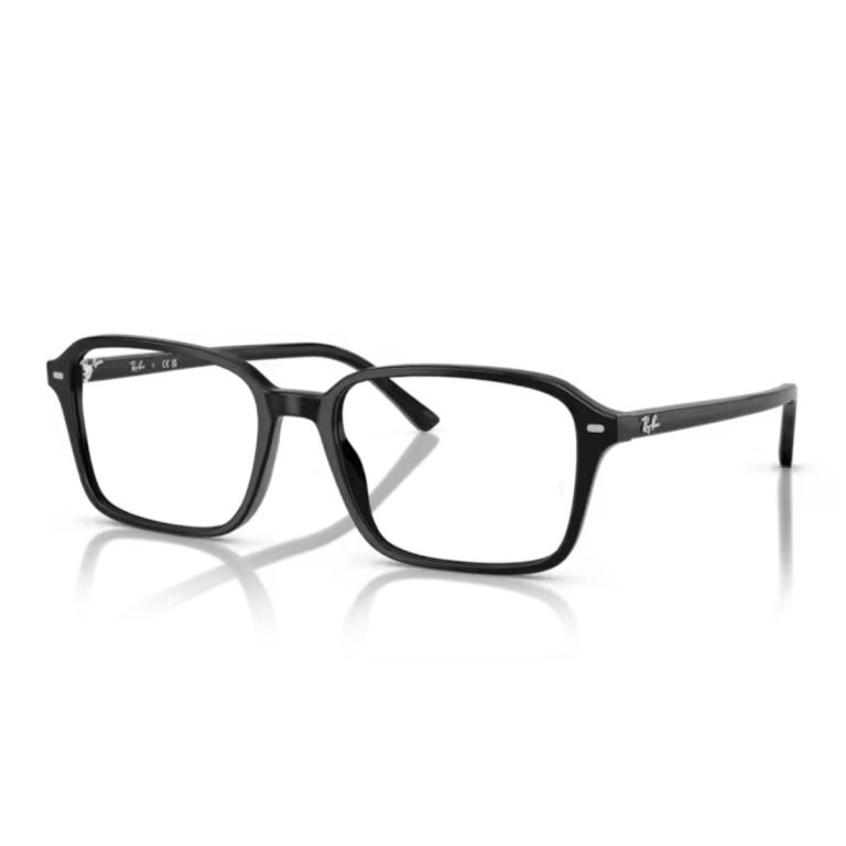 Gọng kính Rayban 0RX5431F - Ảnh 3