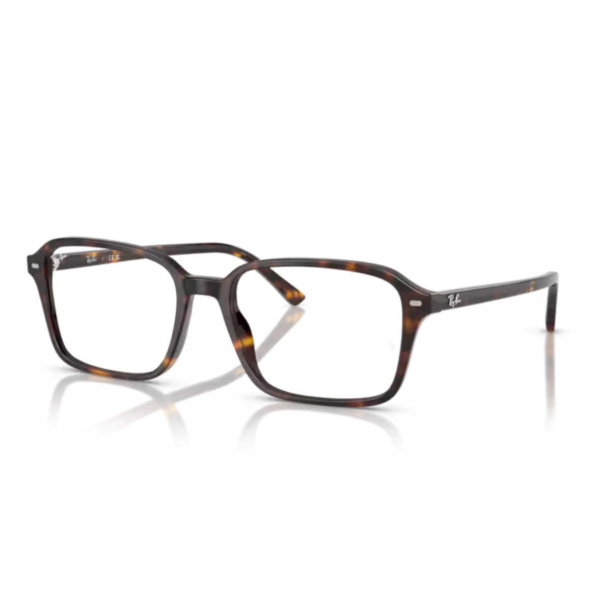 Gọng kính Rayban 0RX5431F - Ảnh 4