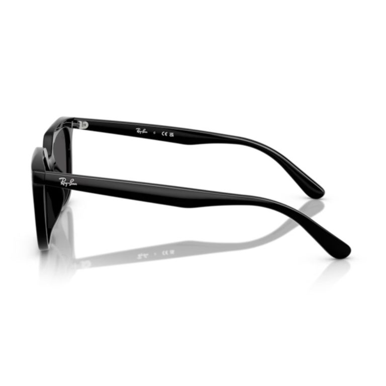 Kính mát Rayban 0RB4439D - Ảnh 9