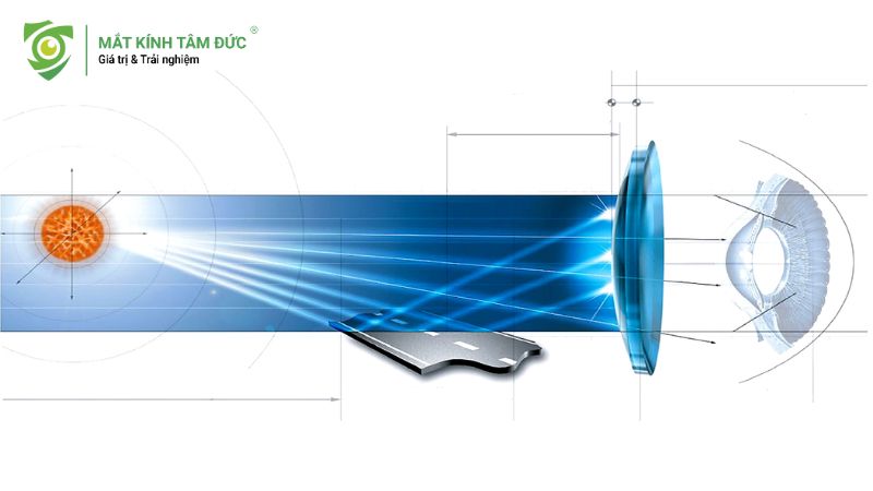 Cách hoạt động của tròng kính phân cực Polarized