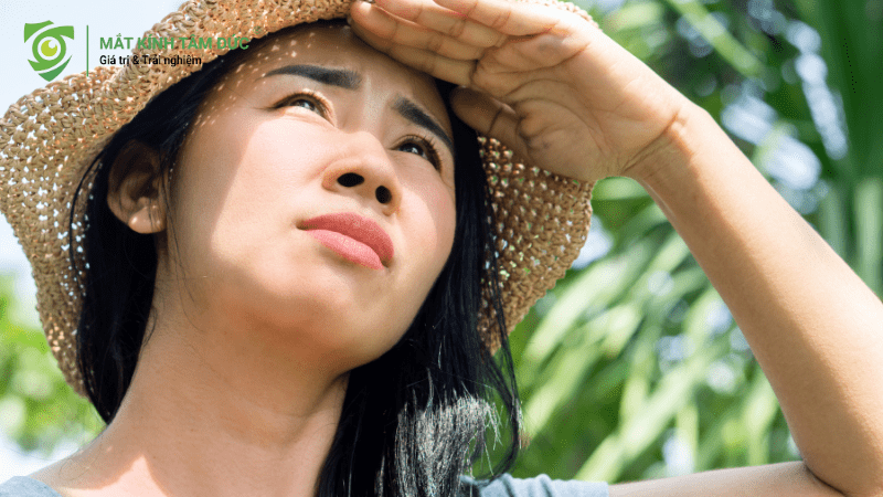 Mắt nâu có nhạy sáng hơn các màu sắc khác 