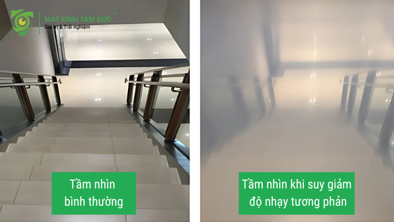 kiem-tra-do-nhay-tuong-phan-mat-la-gi (5)