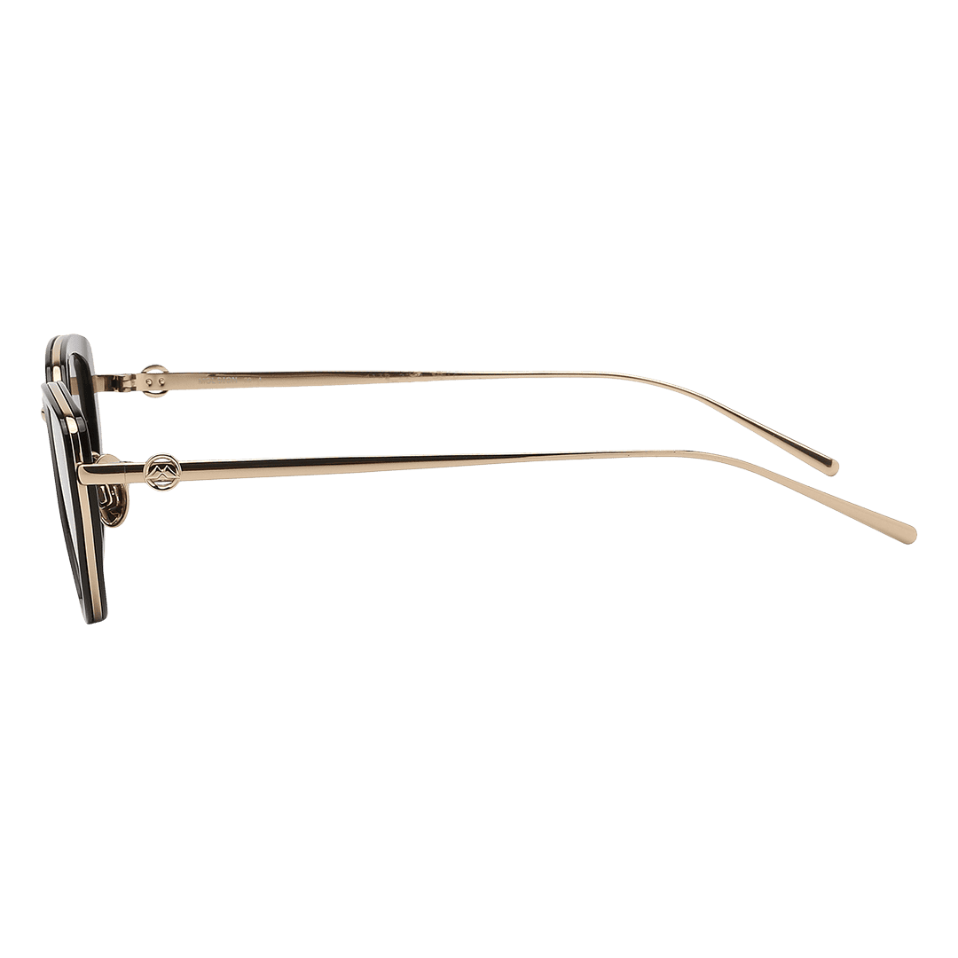 Kính mát Molsion MS6089 - Ảnh 6