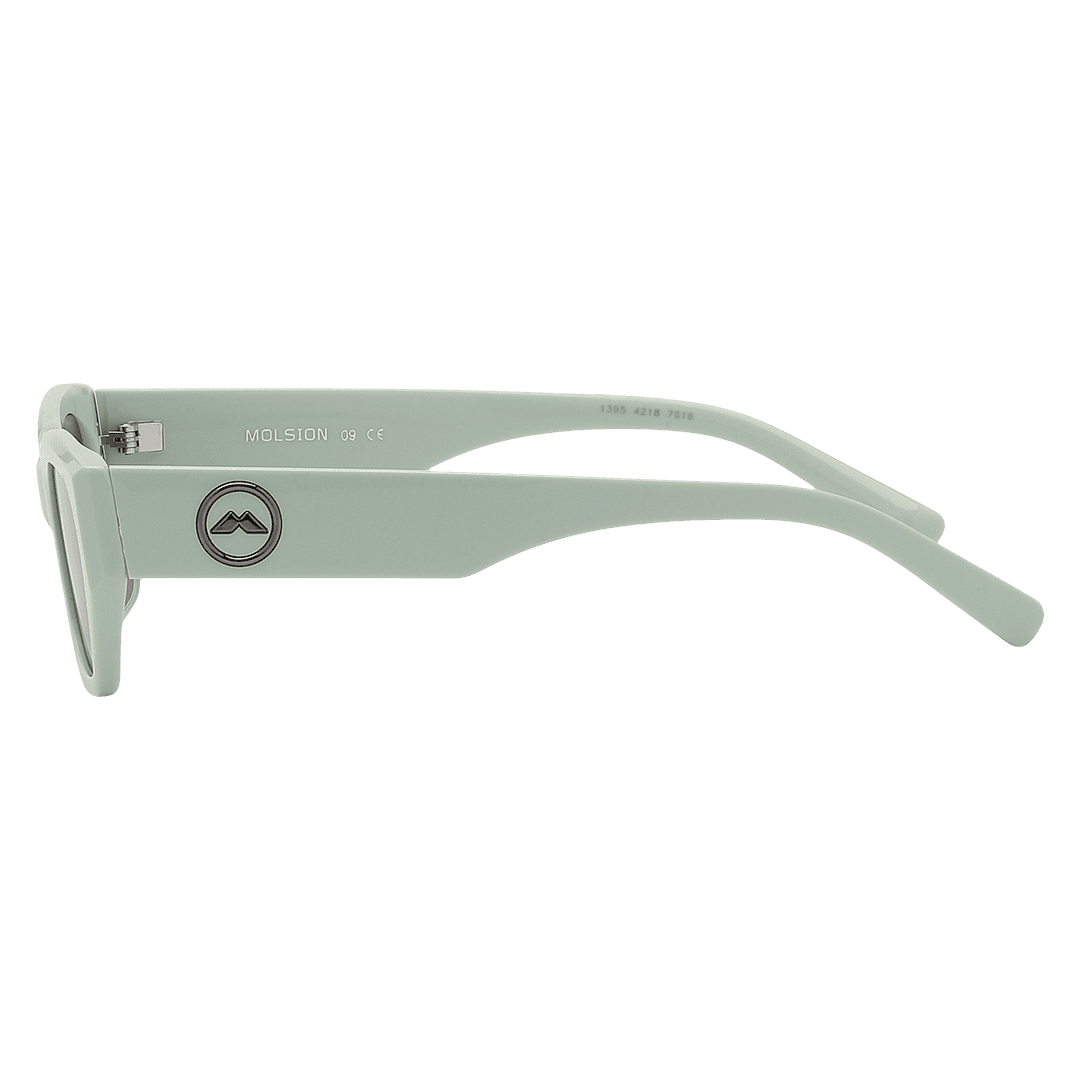 Kính mát Molsion MS3100 - Ảnh 8
