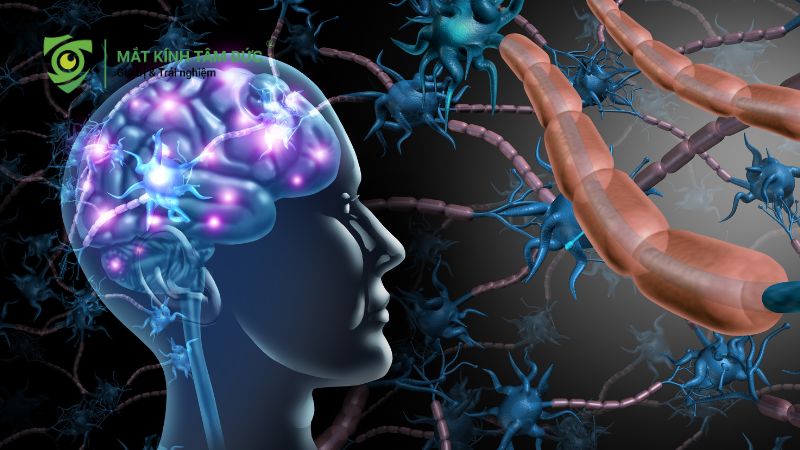 Thị lực là gì? Nguyên nhân và dấu hiệu suy giảm bạn cần biết