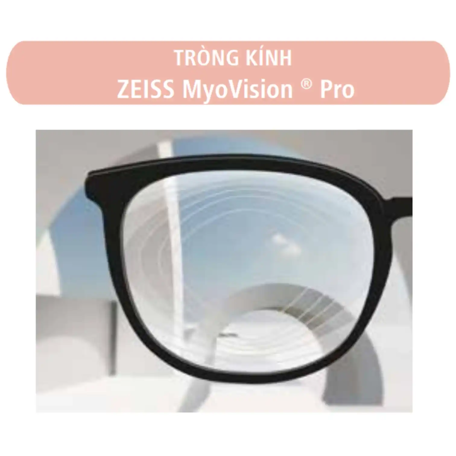 Tròng kính ZEISS MyoVision Pro/MyoKids - UVProtect/Đổi màu PhotoFusion X - Ảnh 2