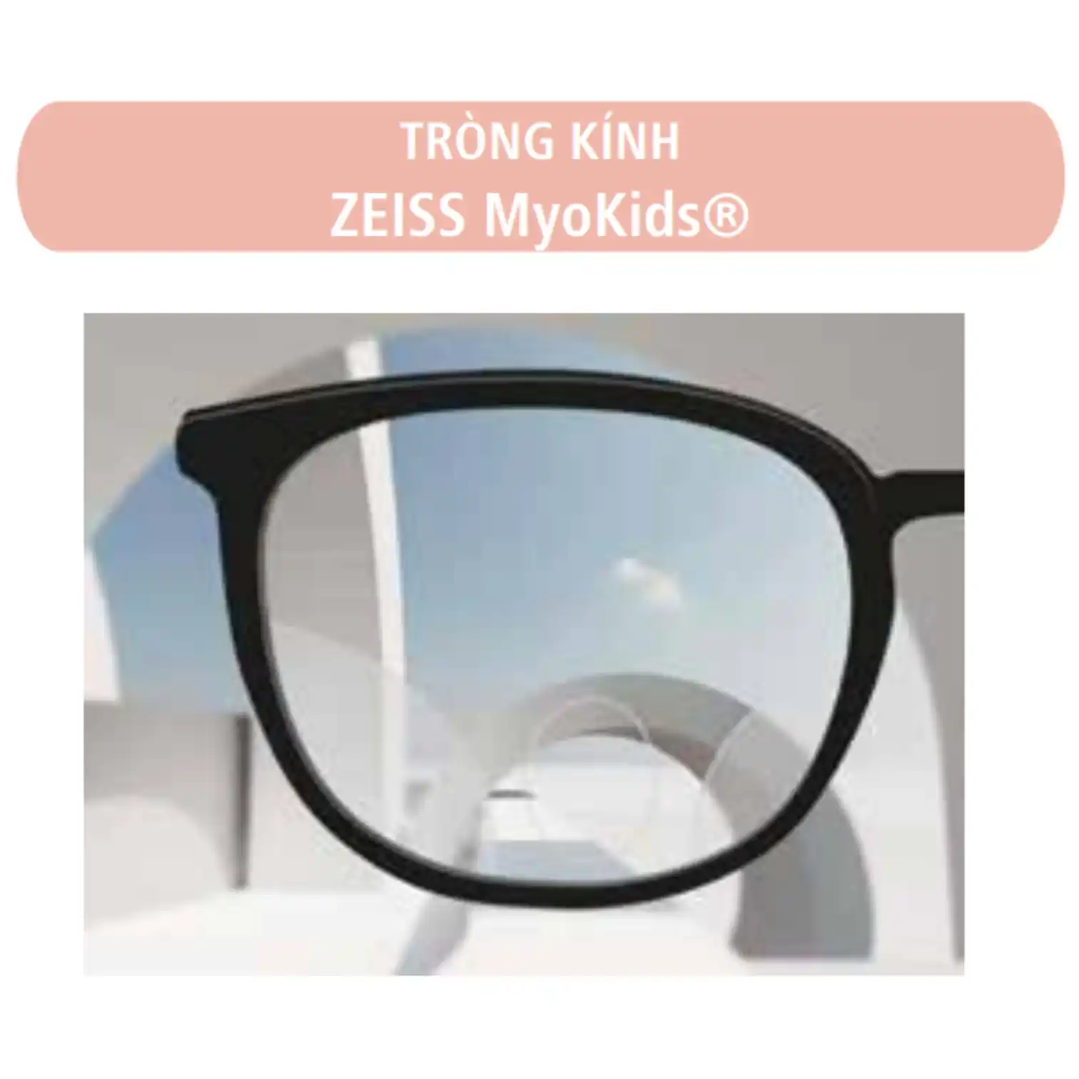 Tròng kính ZEISS MyoVision Pro/MyoKids - UVProtect/Đổi màu PhotoFusion X - Ảnh 3