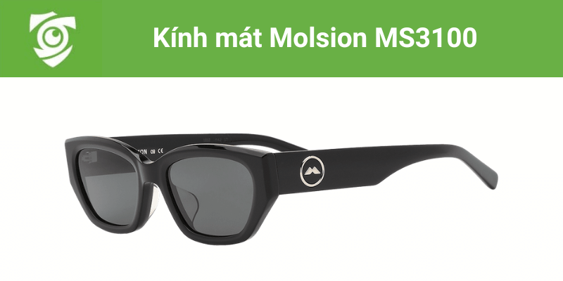 Kính mát Molsion MS3100 tại Mắt kính Tâm Đức