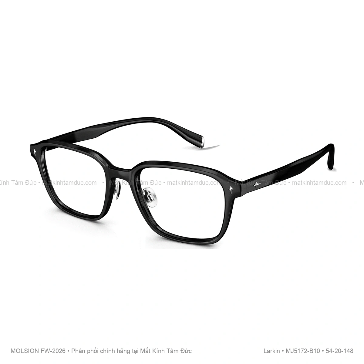 Gọng kính Molsion Larkin MJ5172
