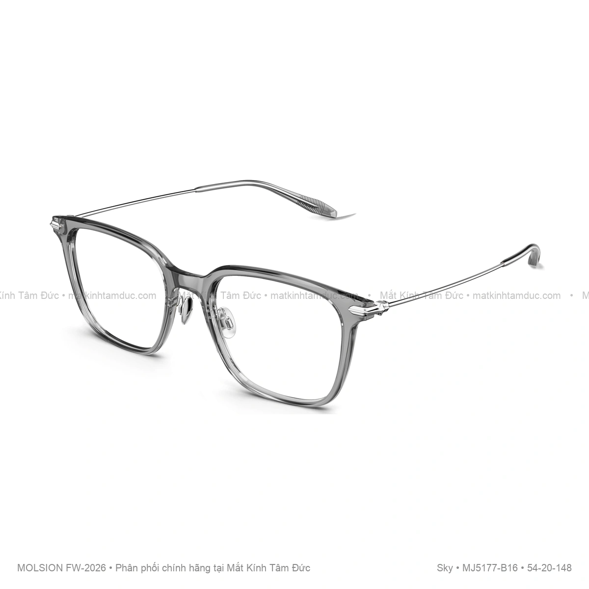 Gọng kính Molsion Sky MJ5177 - Ảnh 3